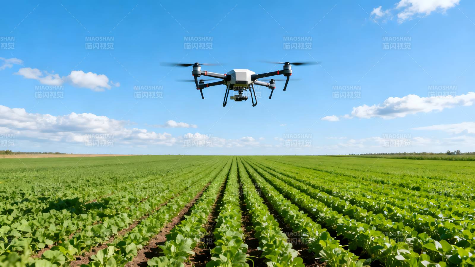 无人机巡田图片