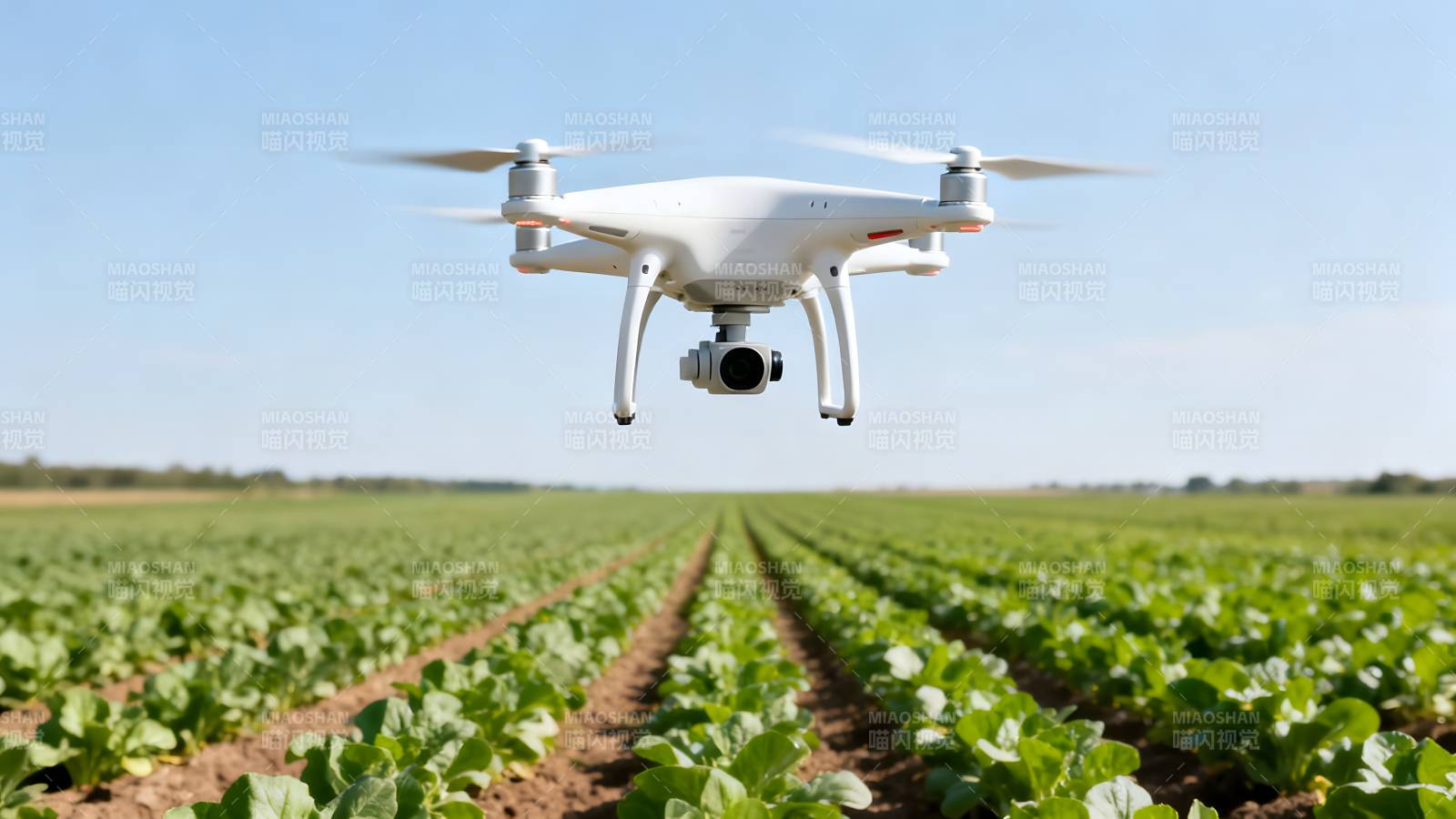 无人机农田巡检图片