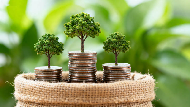 金钱与成长的象征图片