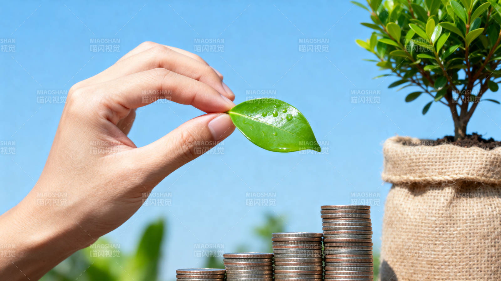 绿色金融 财富成长图片