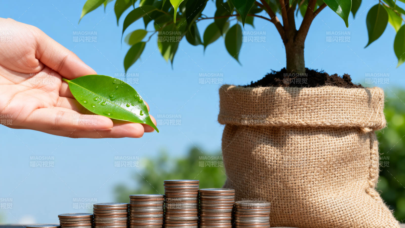 绿色金融 财富成长图片