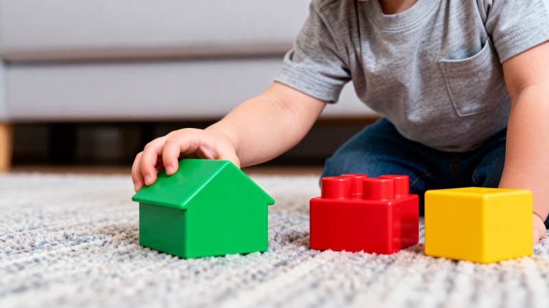 孩子玩积木建小屋图片