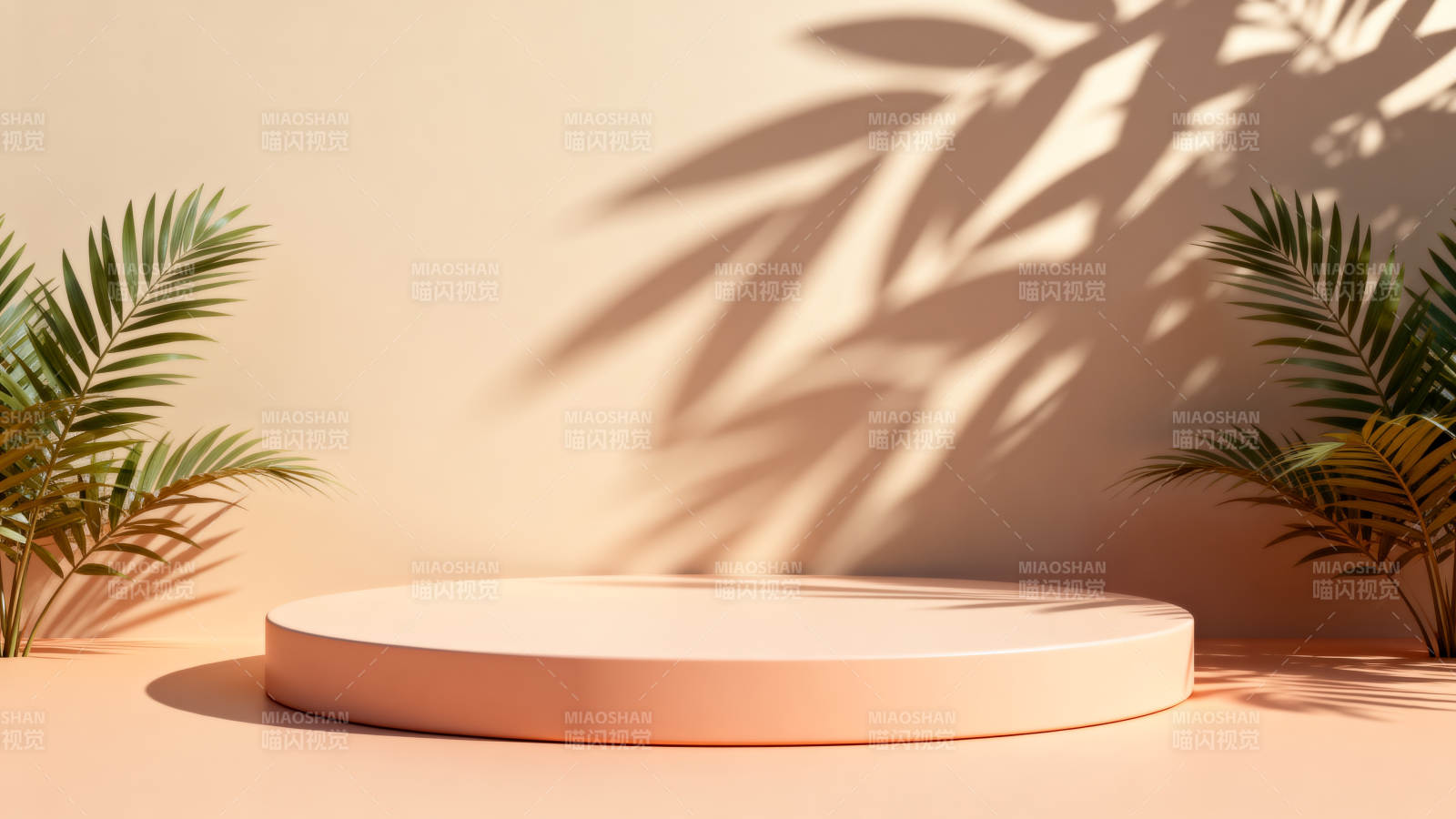 光影棕榈静谧台图片