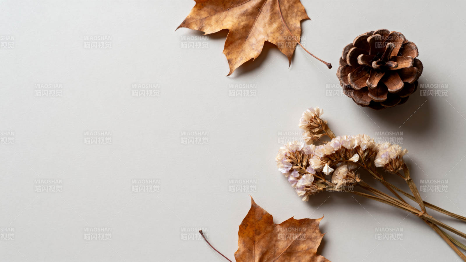 秋日静物之美图片