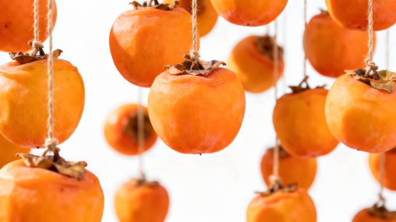 柿子挂枝头图片