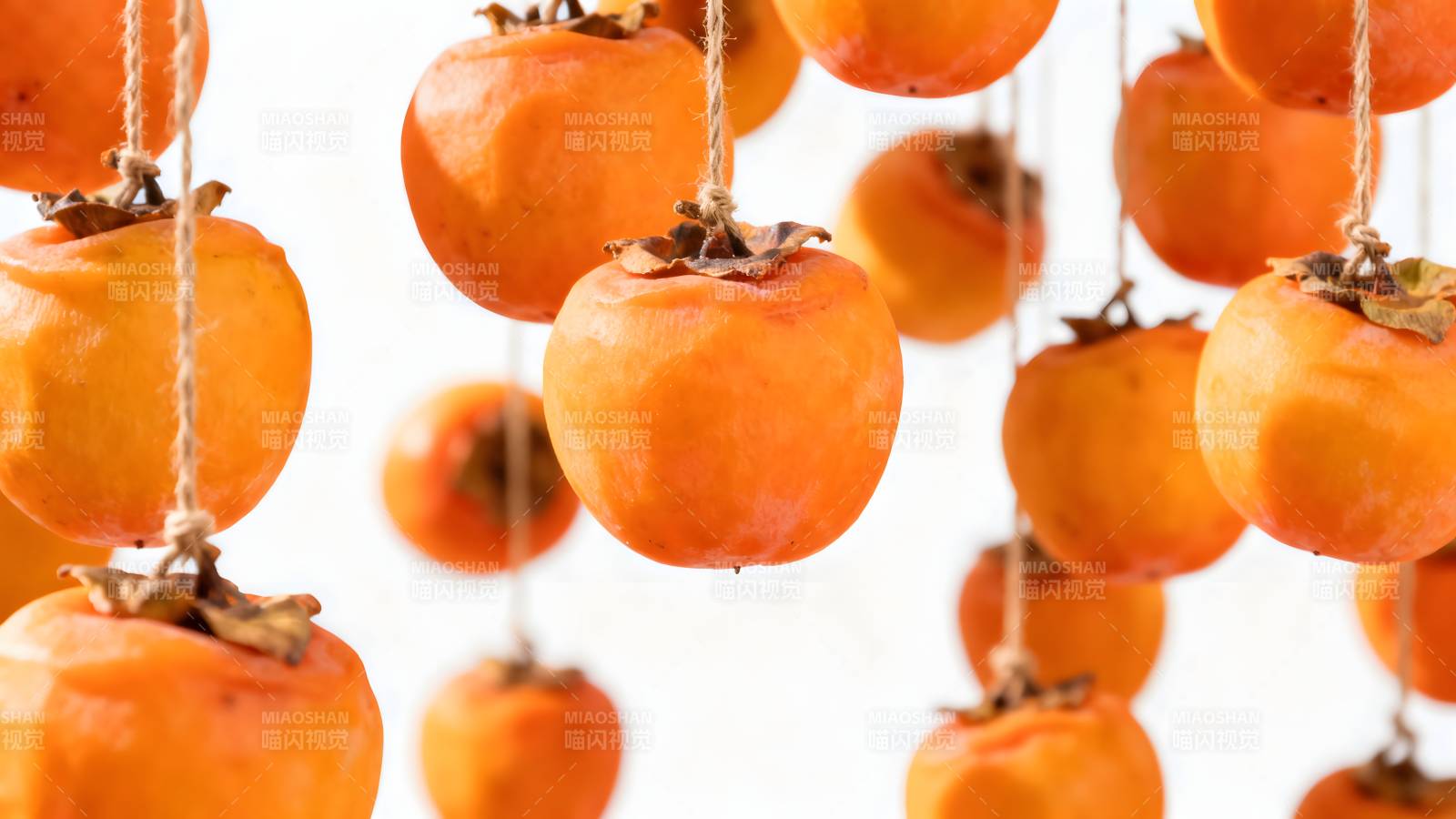 柿子挂枝头图片