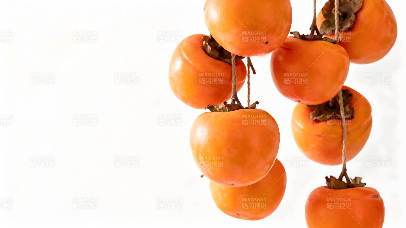 柿子挂枝头图片