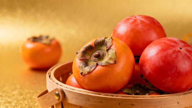 柿子丰收图图片