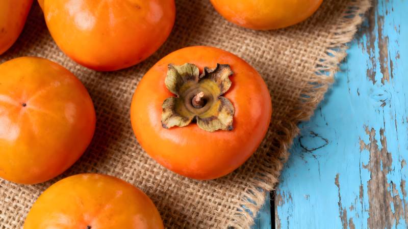 柿子静物图图片