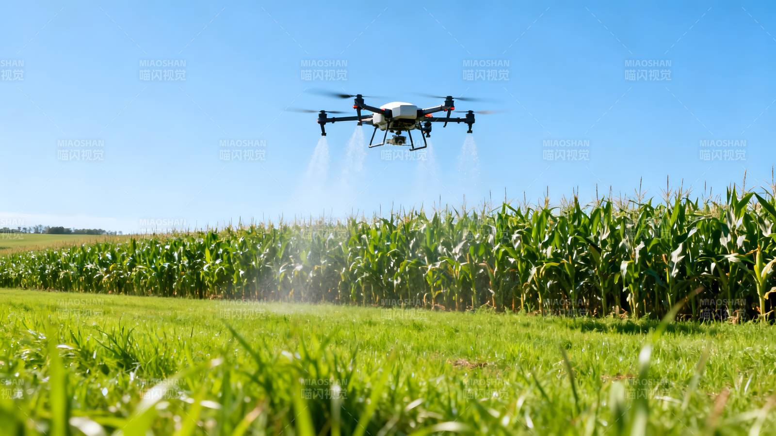 无人机喷洒农田图片