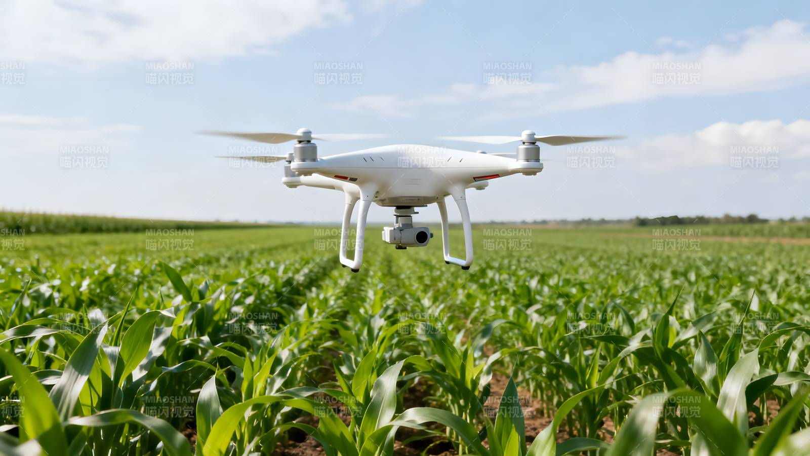 无人机巡田图片