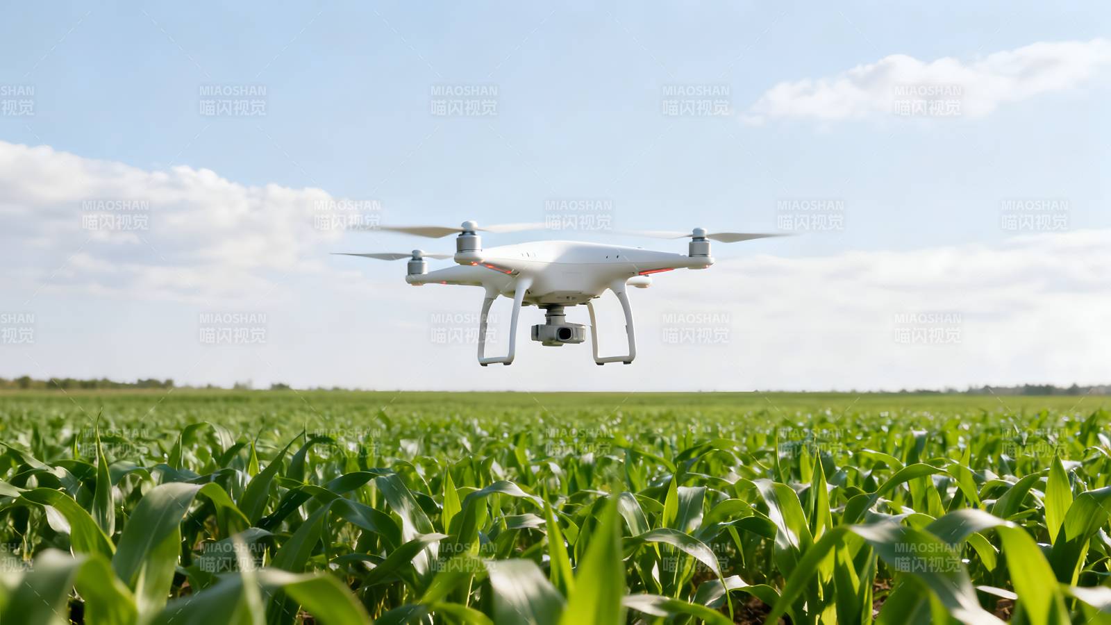 无人机飞越农田图片