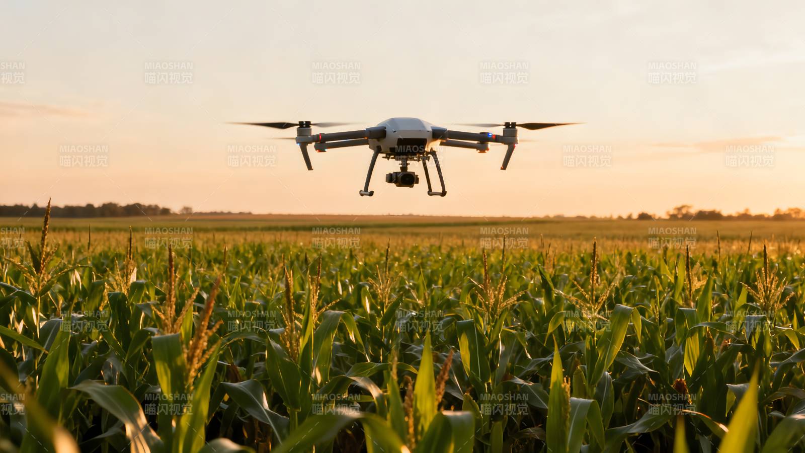 无人机巡田图片