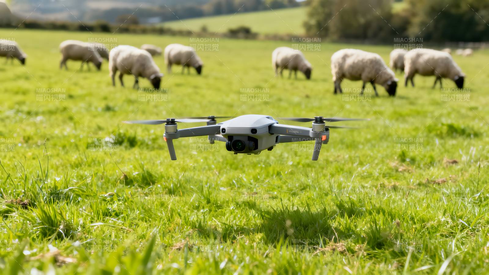 无人机牧羊田园图片