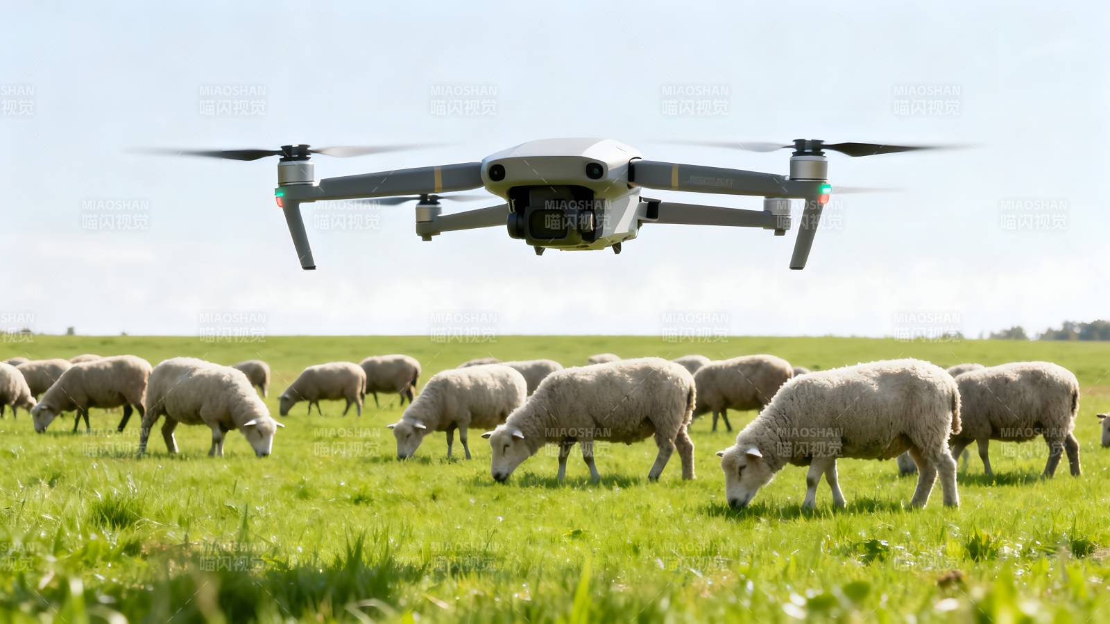 无人机牧羊场景图片
