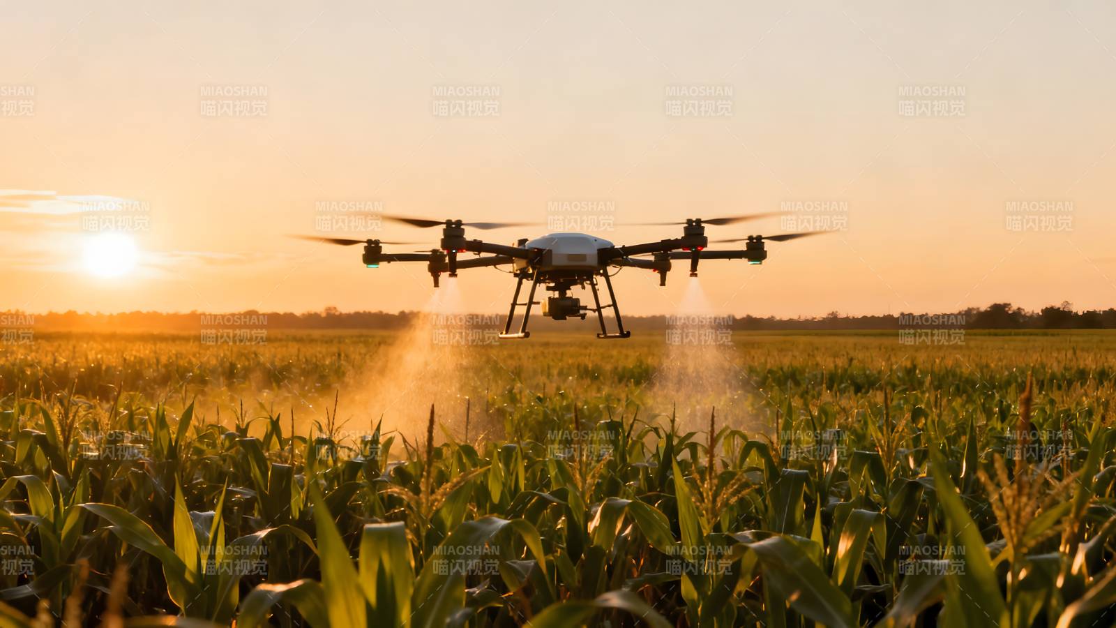 无人机农田喷洒图片