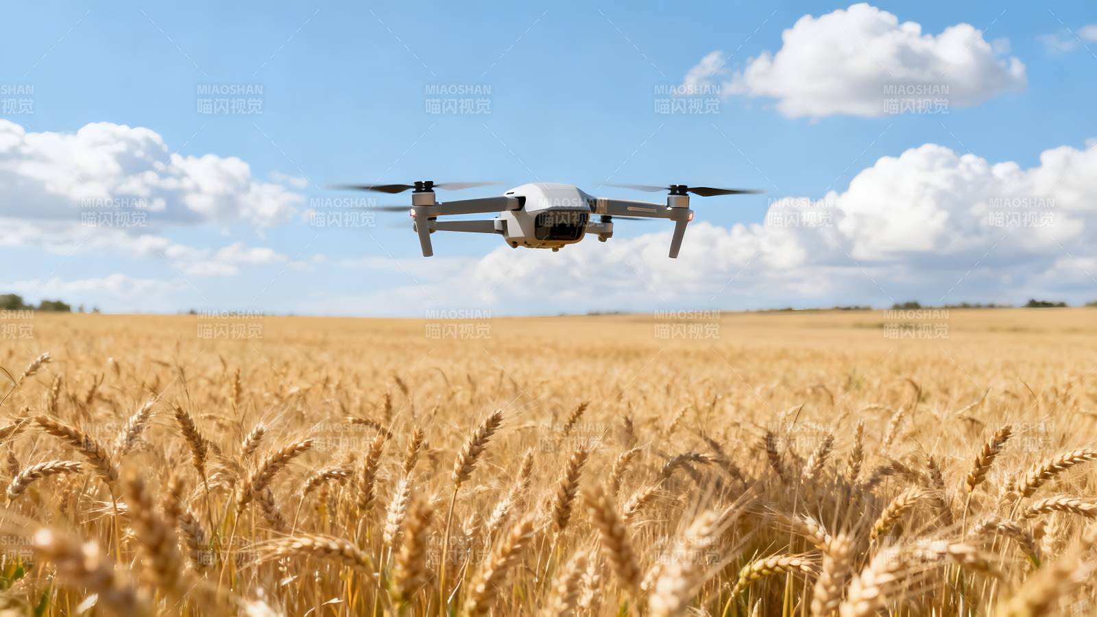 无人机飞越麦田图片