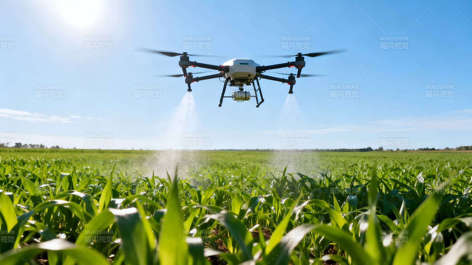 无人机喷洒农田图片