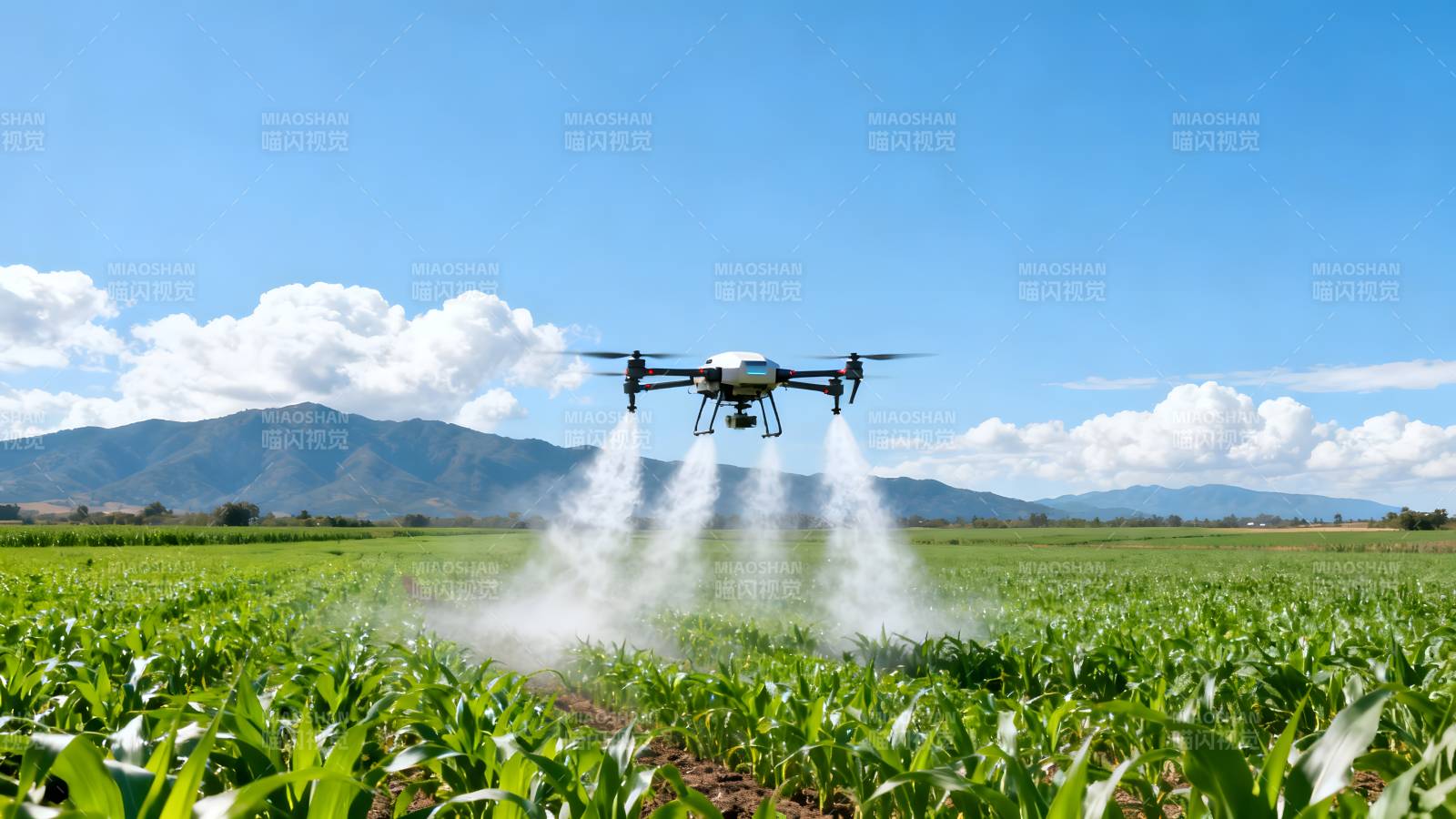 无人机喷洒农田图片