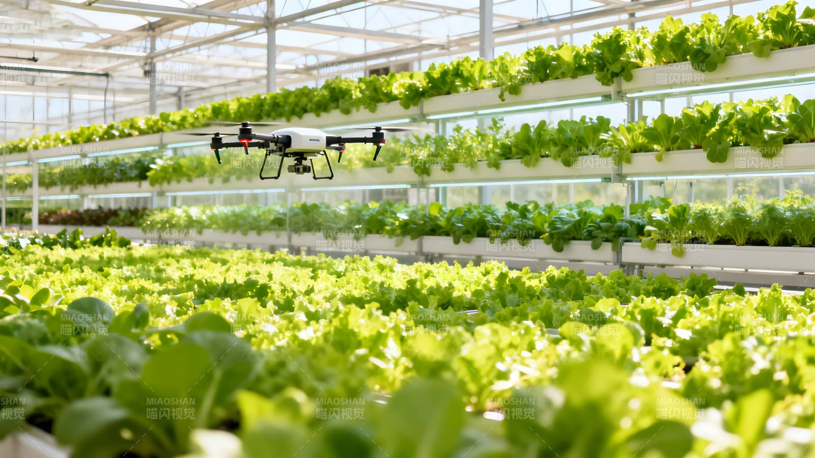 无人机巡检温室图片
