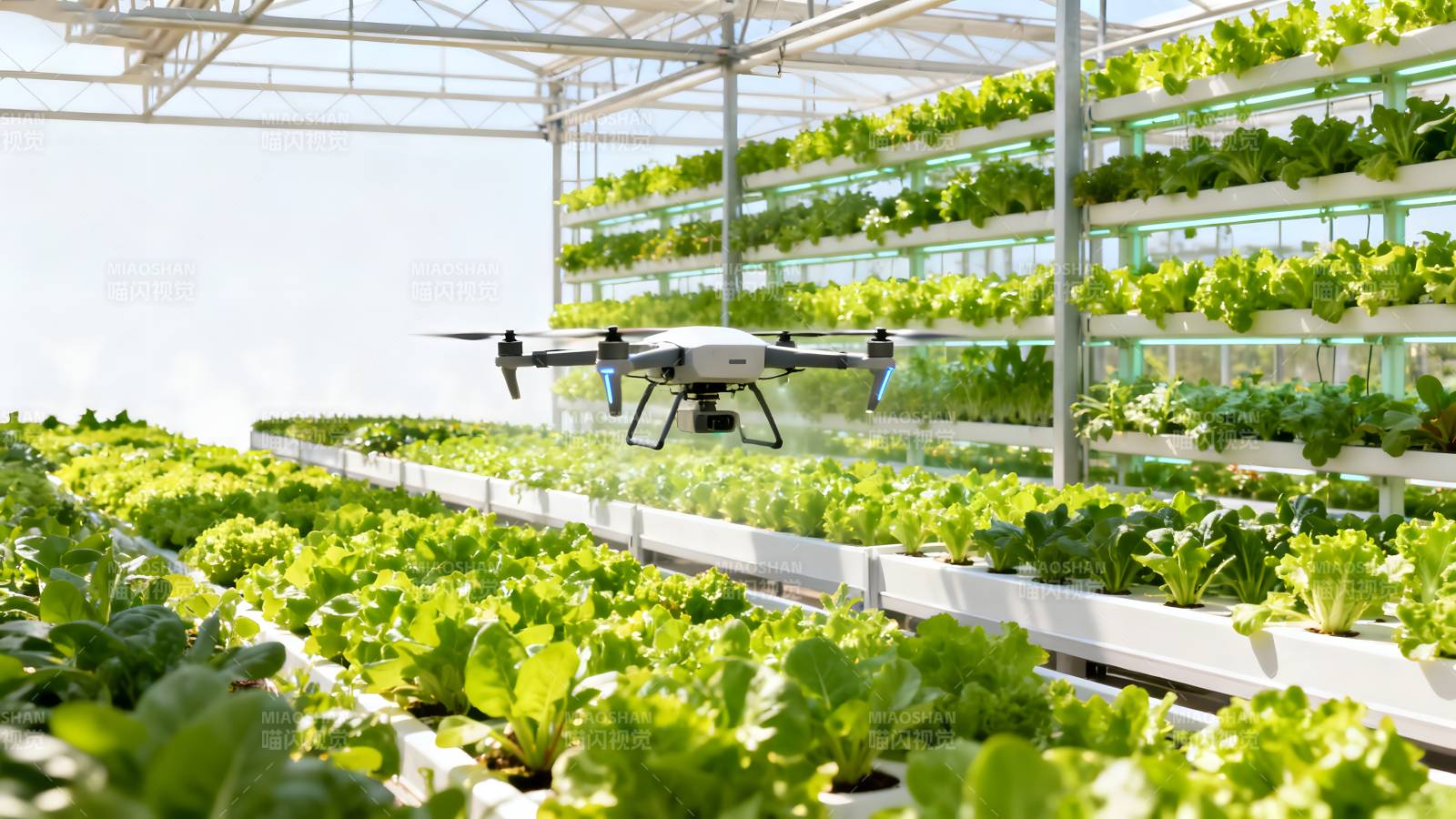 智能温室无人机植保图片