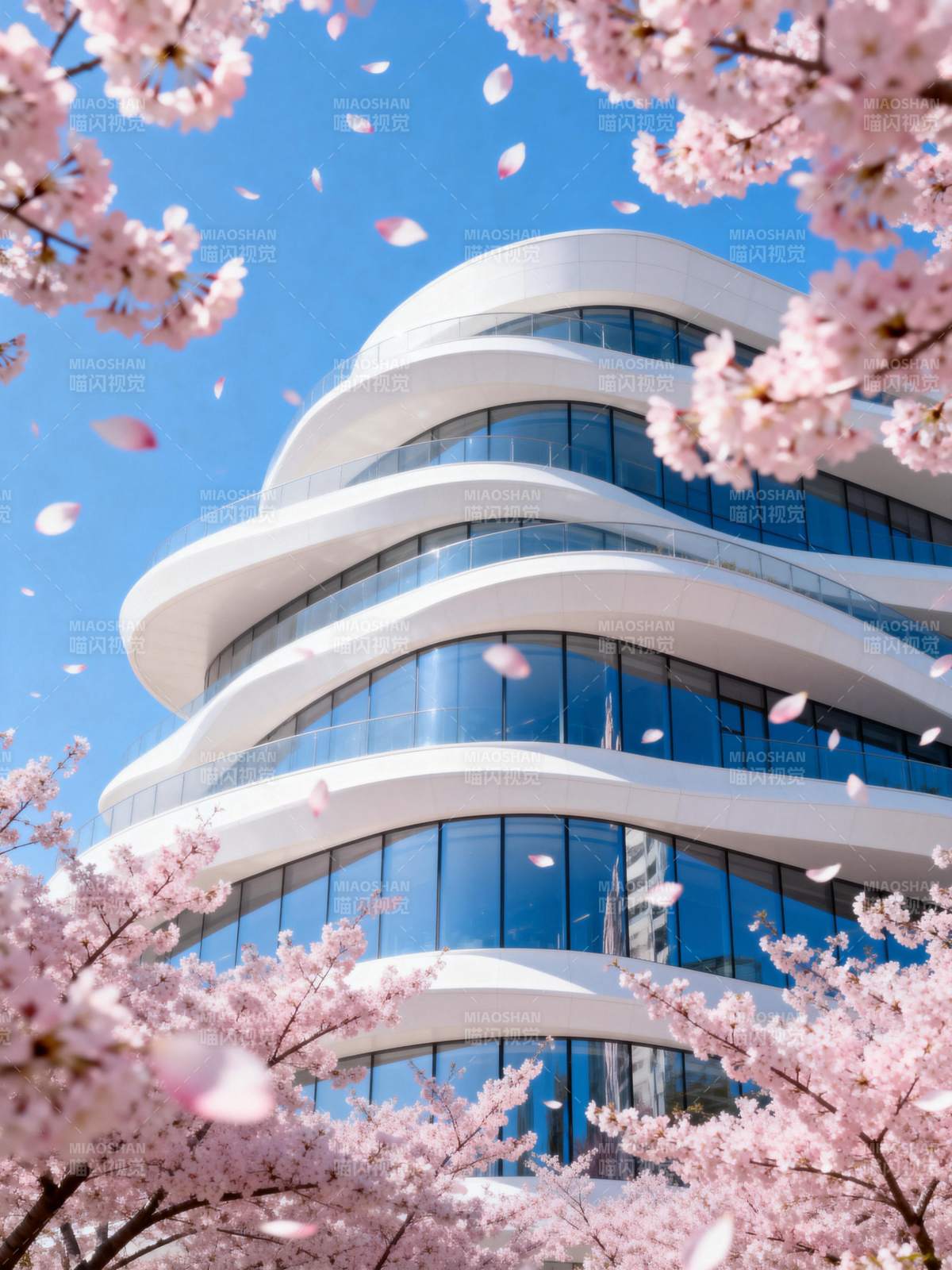 樱花映衬现代建筑图片