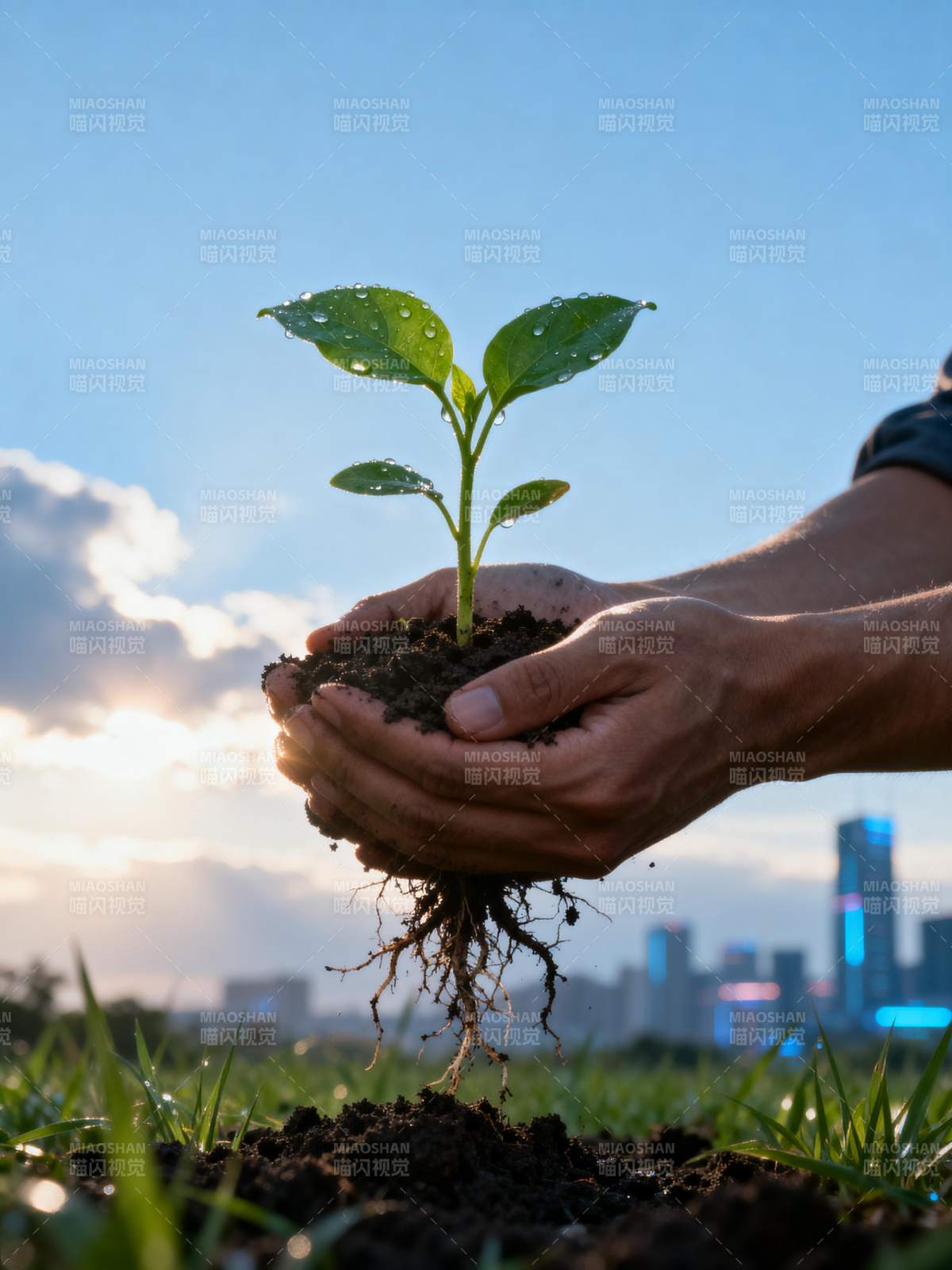 手捧新绿 城市新生图片