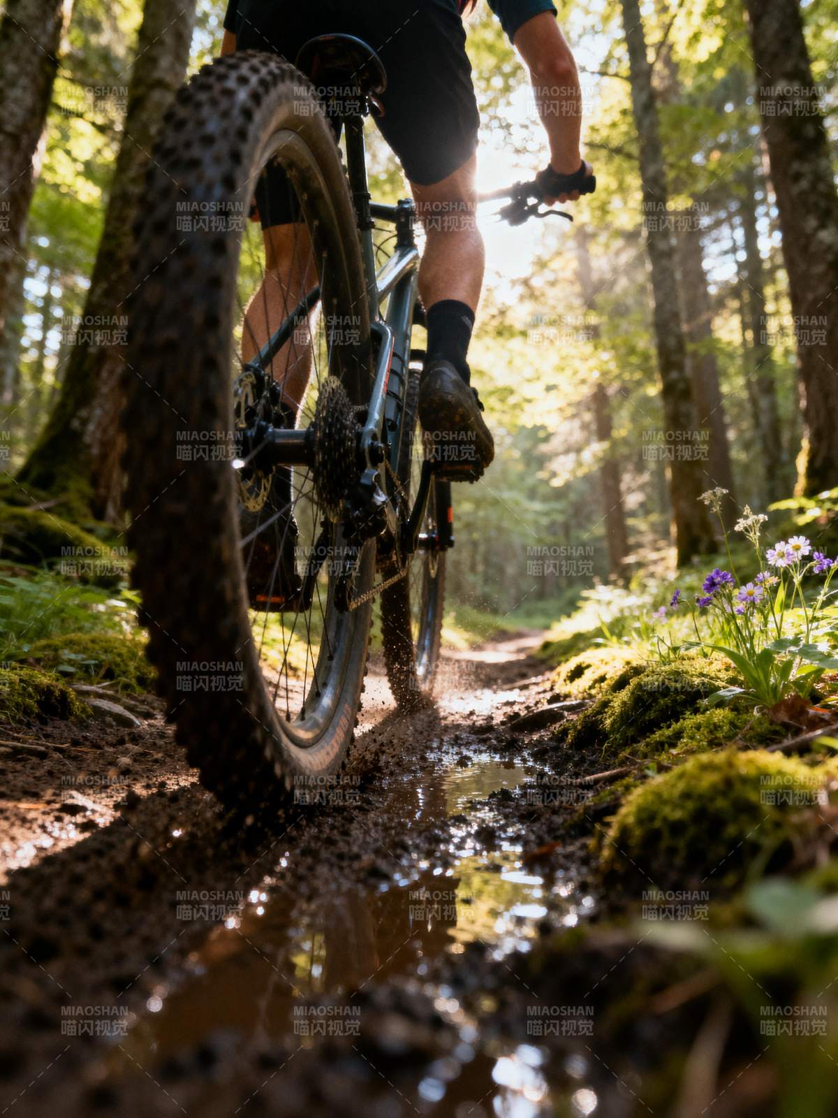 林间骑行 泥泞小径图片
