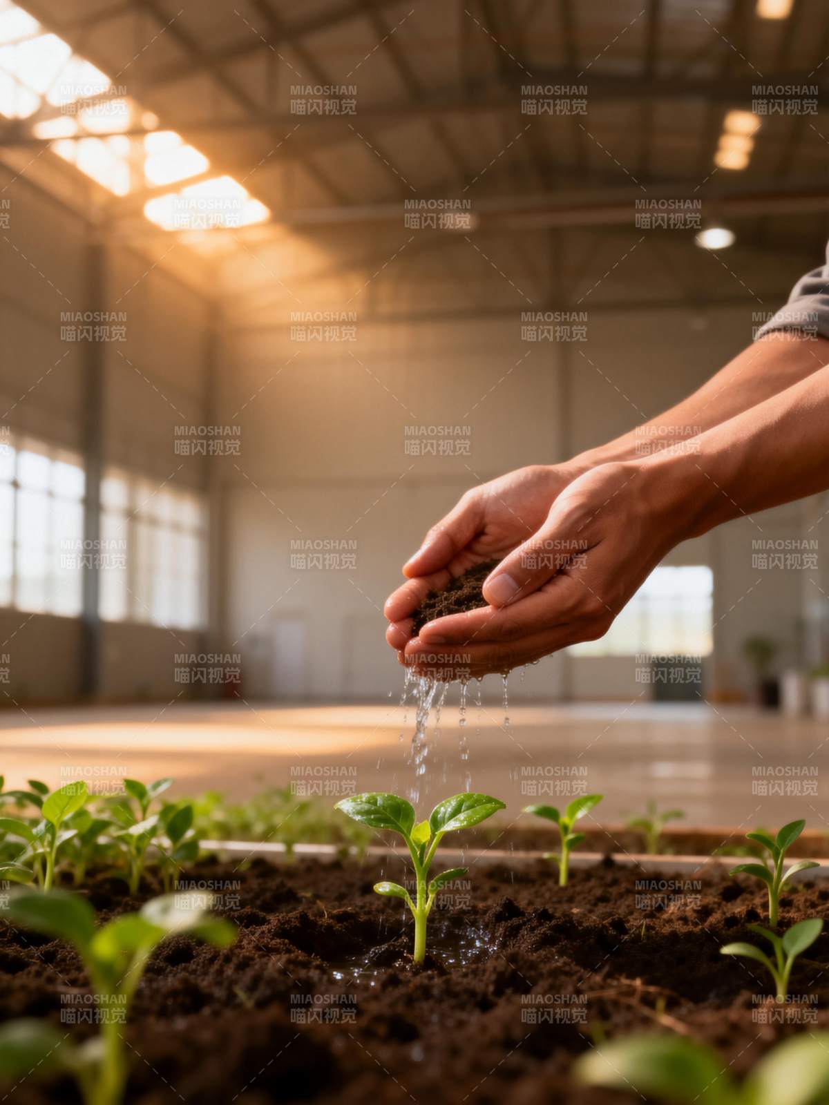 温室育苗 手洒希望图片