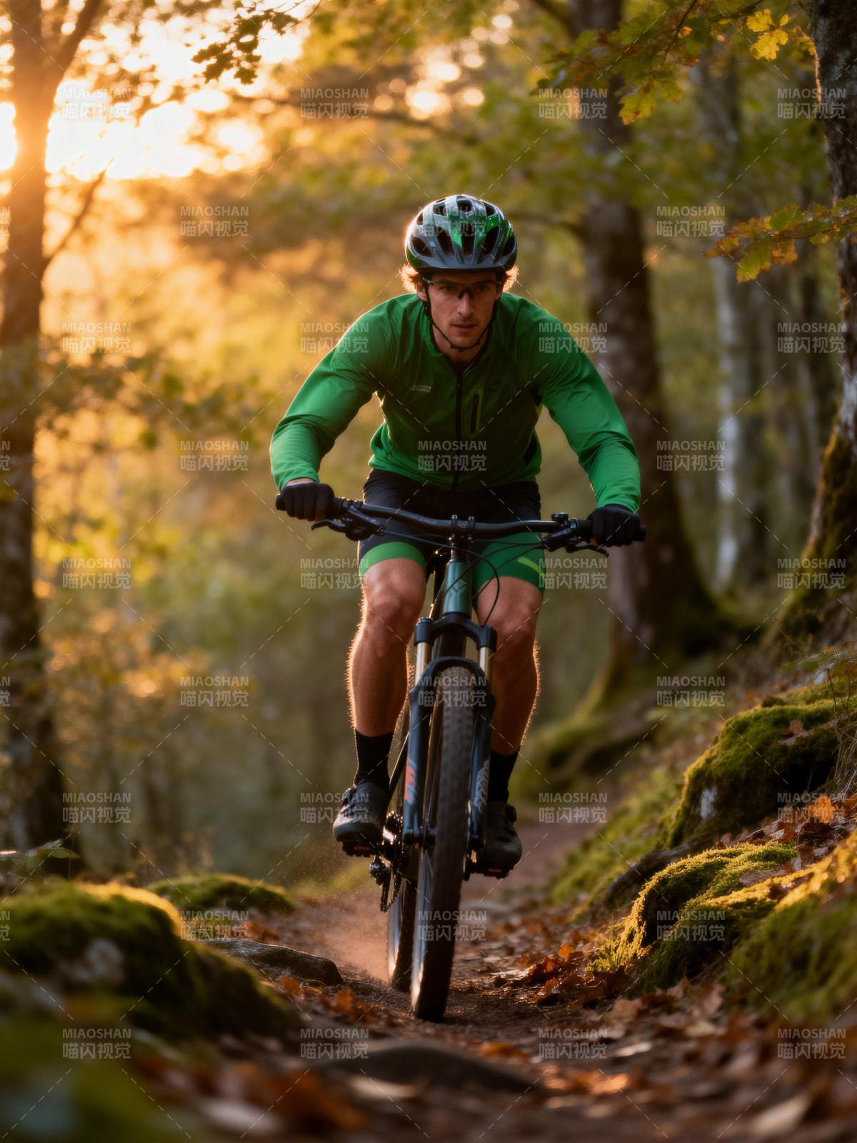 林间骑行 秋日光影图片