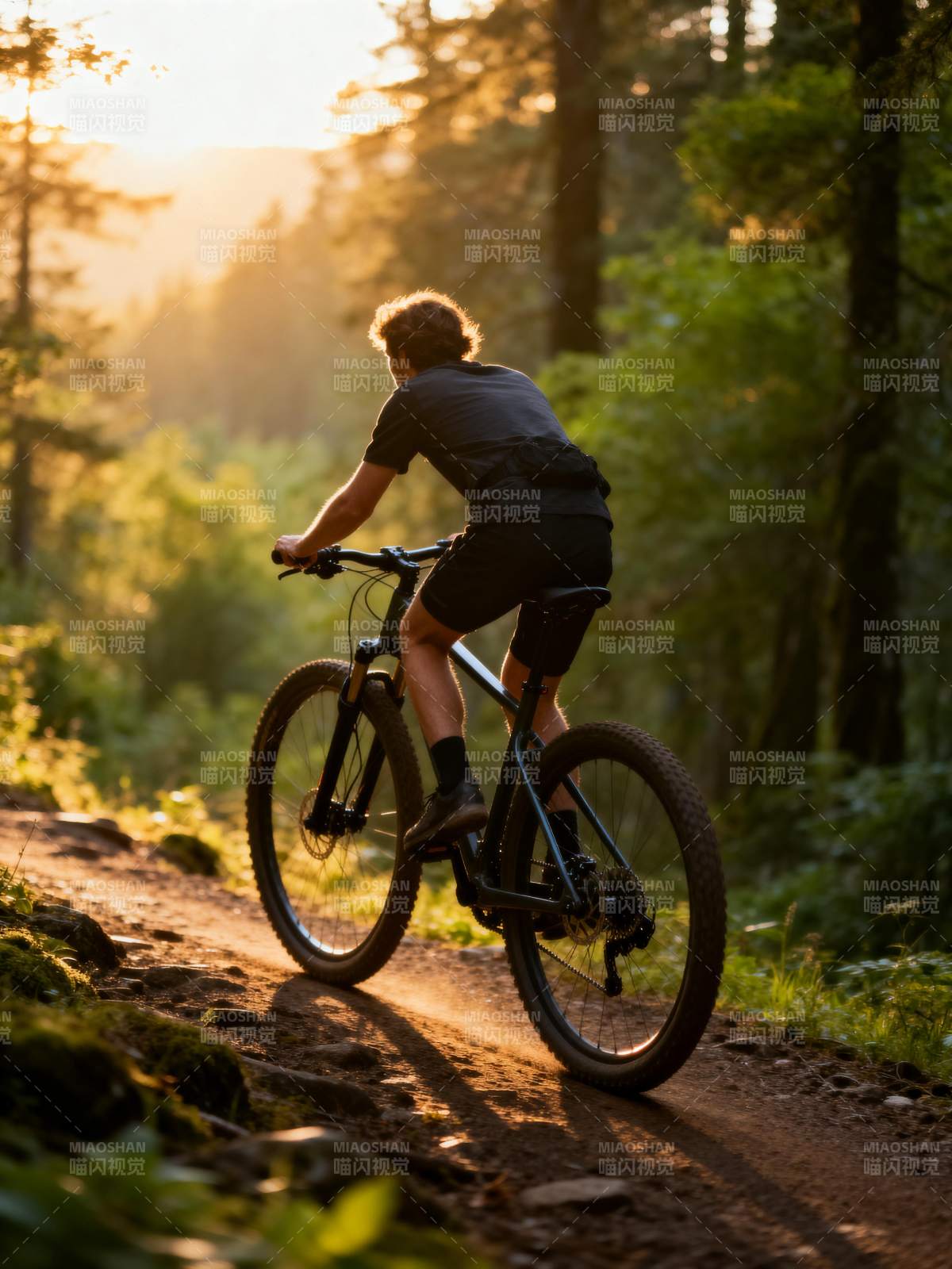 林间骑行 夕阳相伴图片