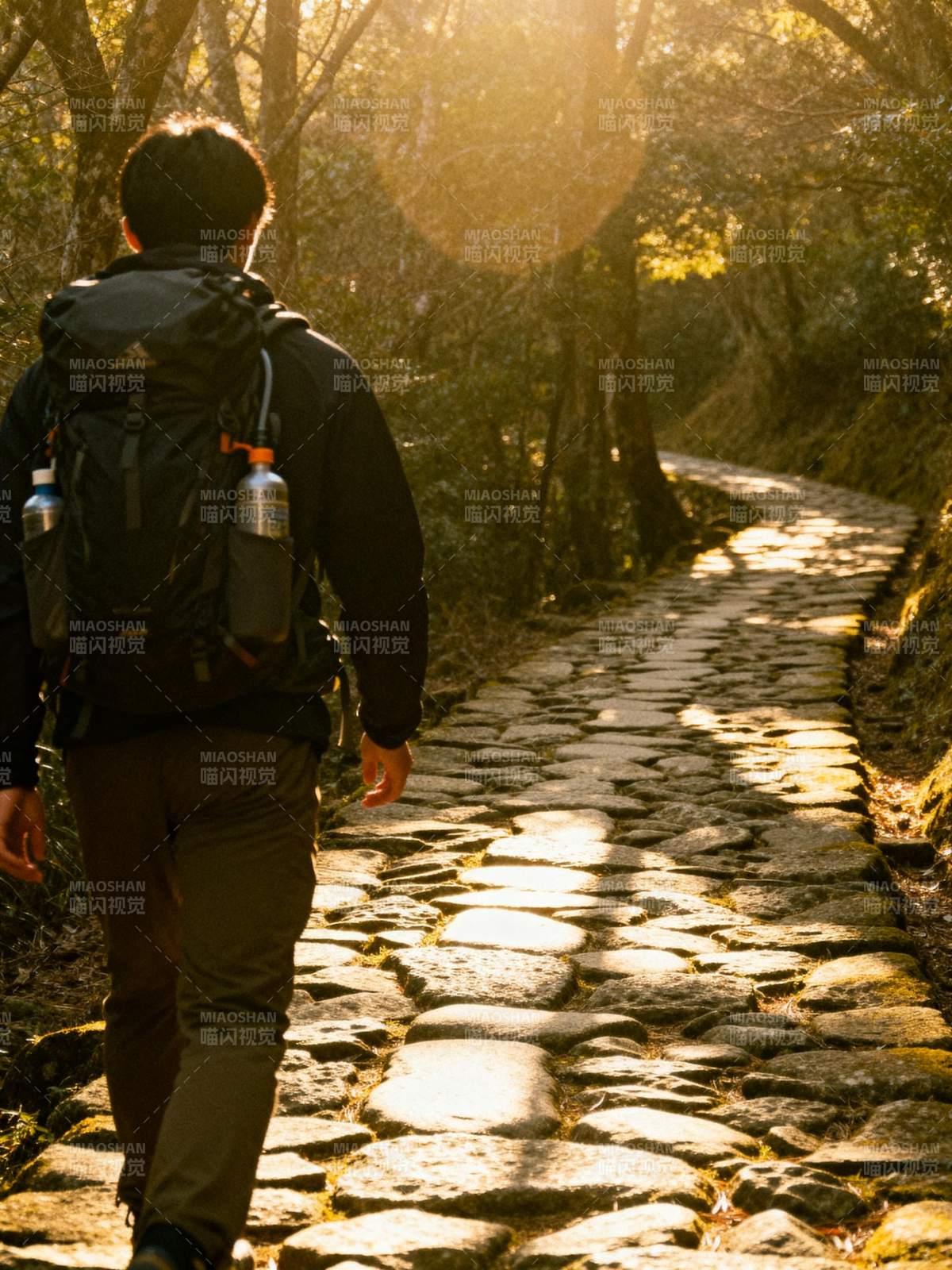 林间石径行图片