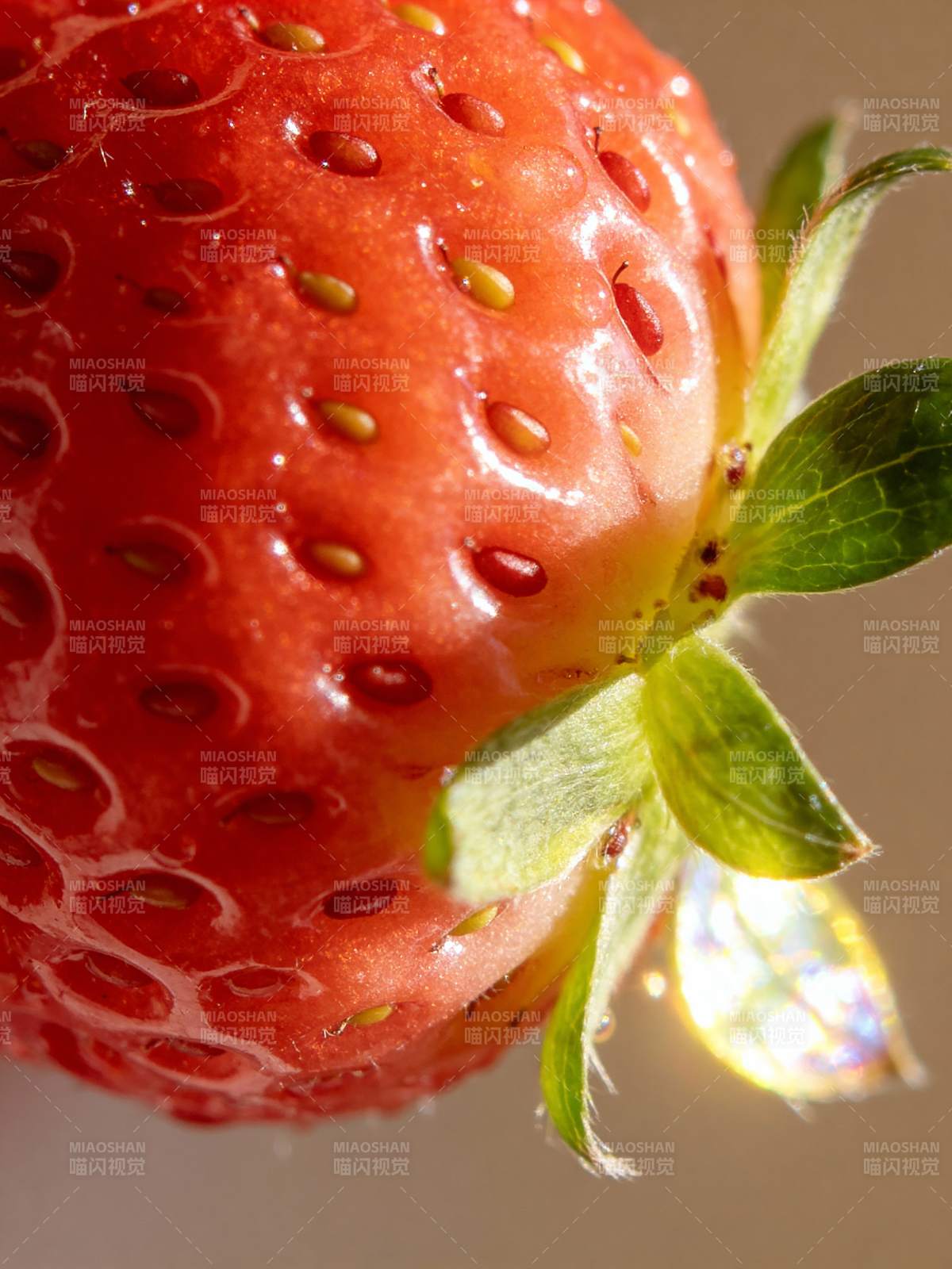 鲜红草莓特写图片