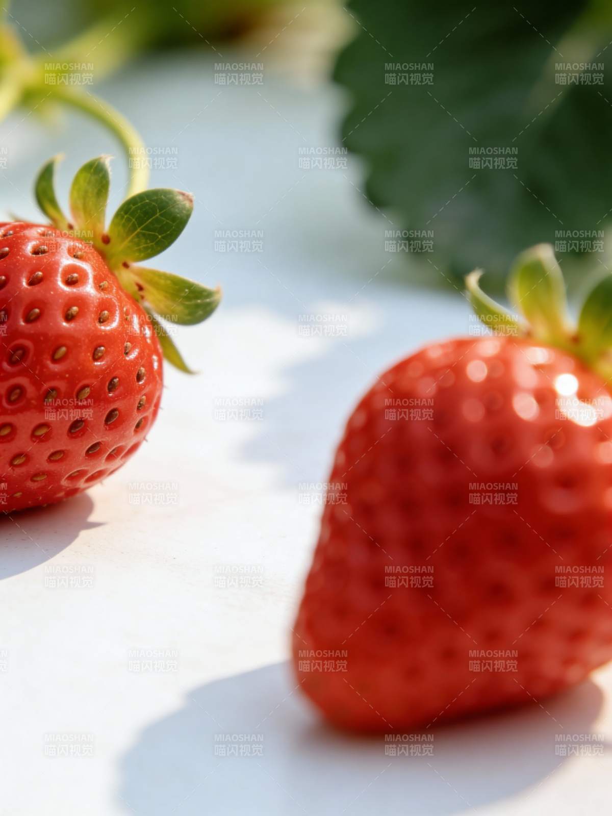 鲜红草莓特写图片