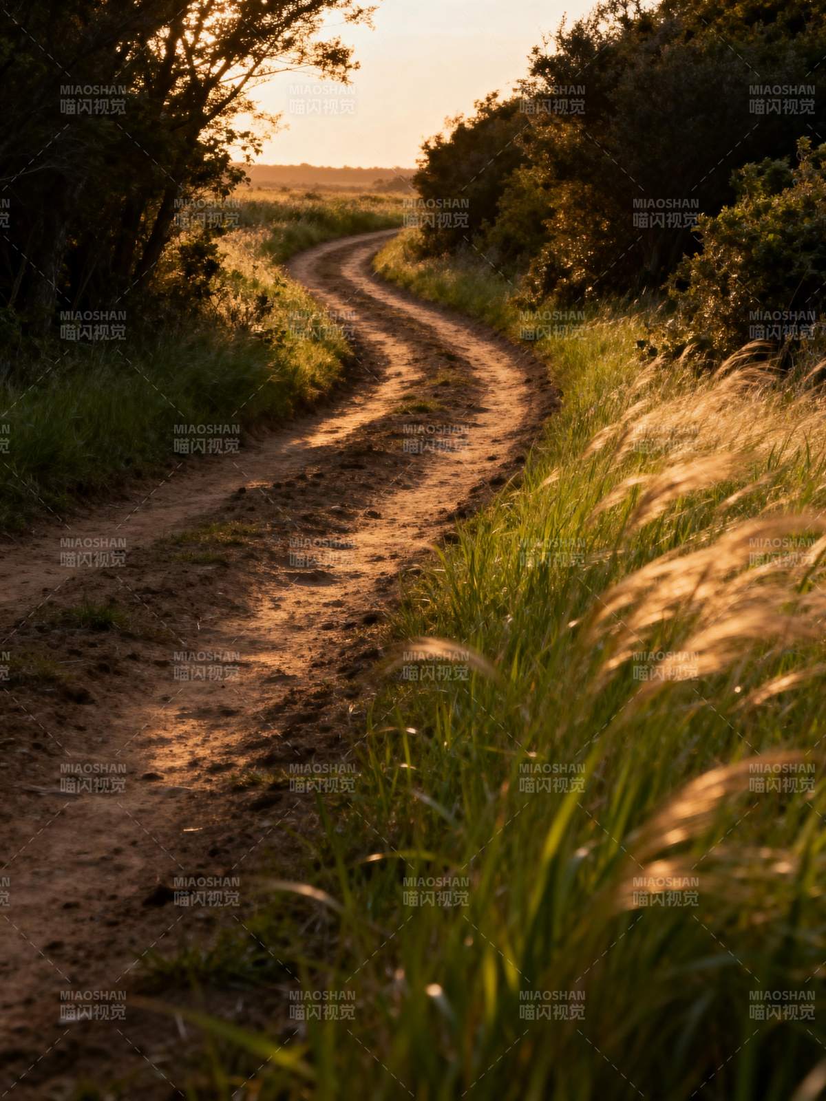 乡间小径夕阳照图片