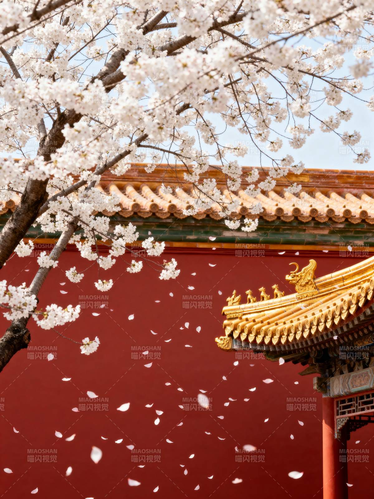 樱花飞舞古建筑图片