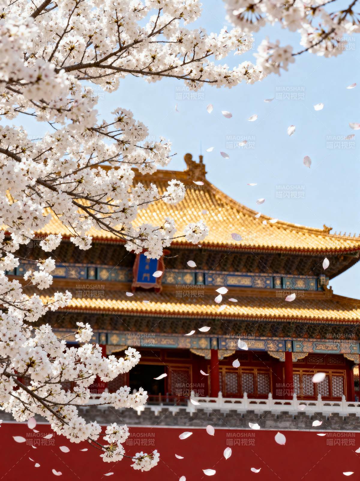 春樱映古殿图片