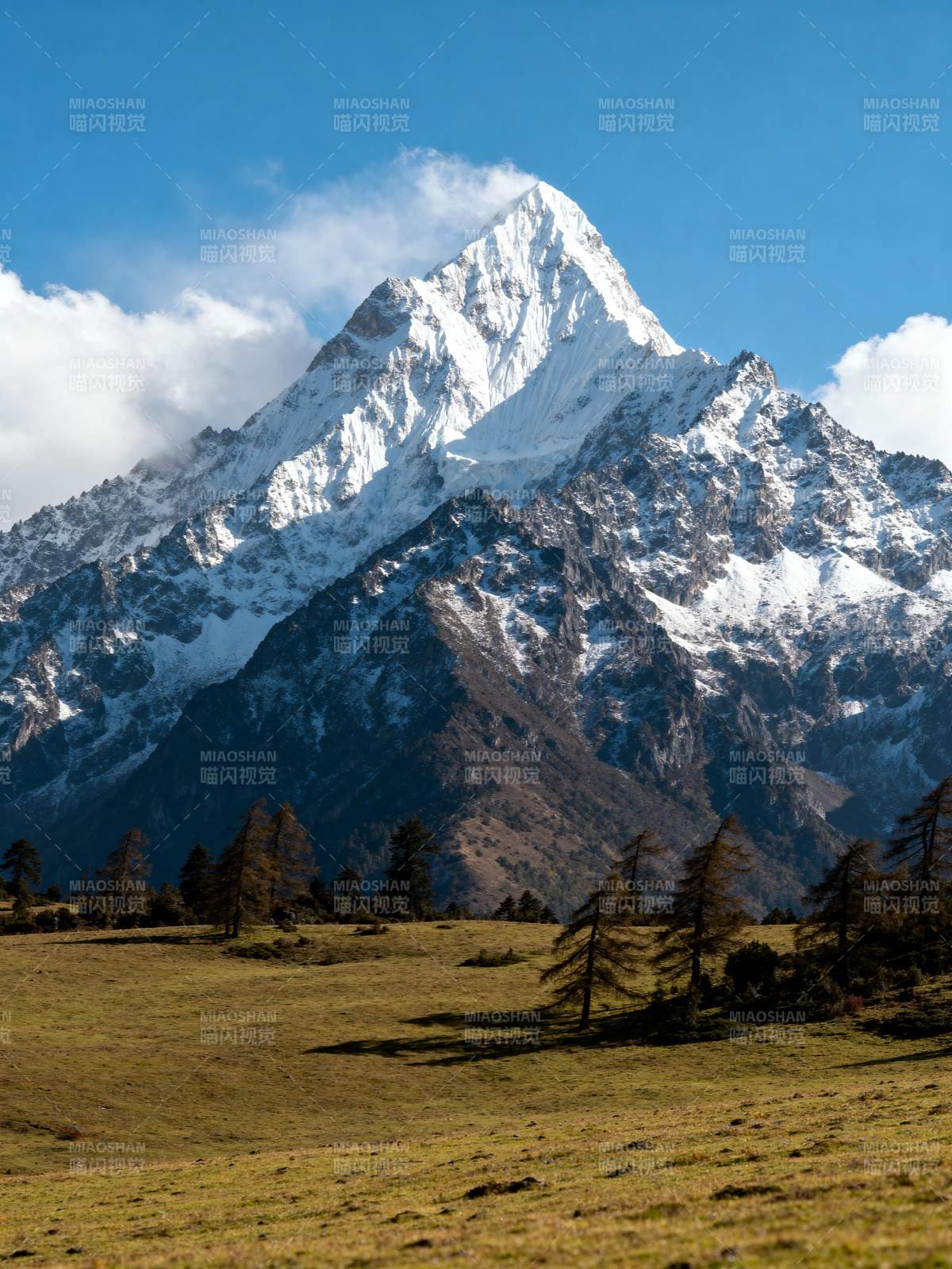 雪山巍峨 草甸如画图片