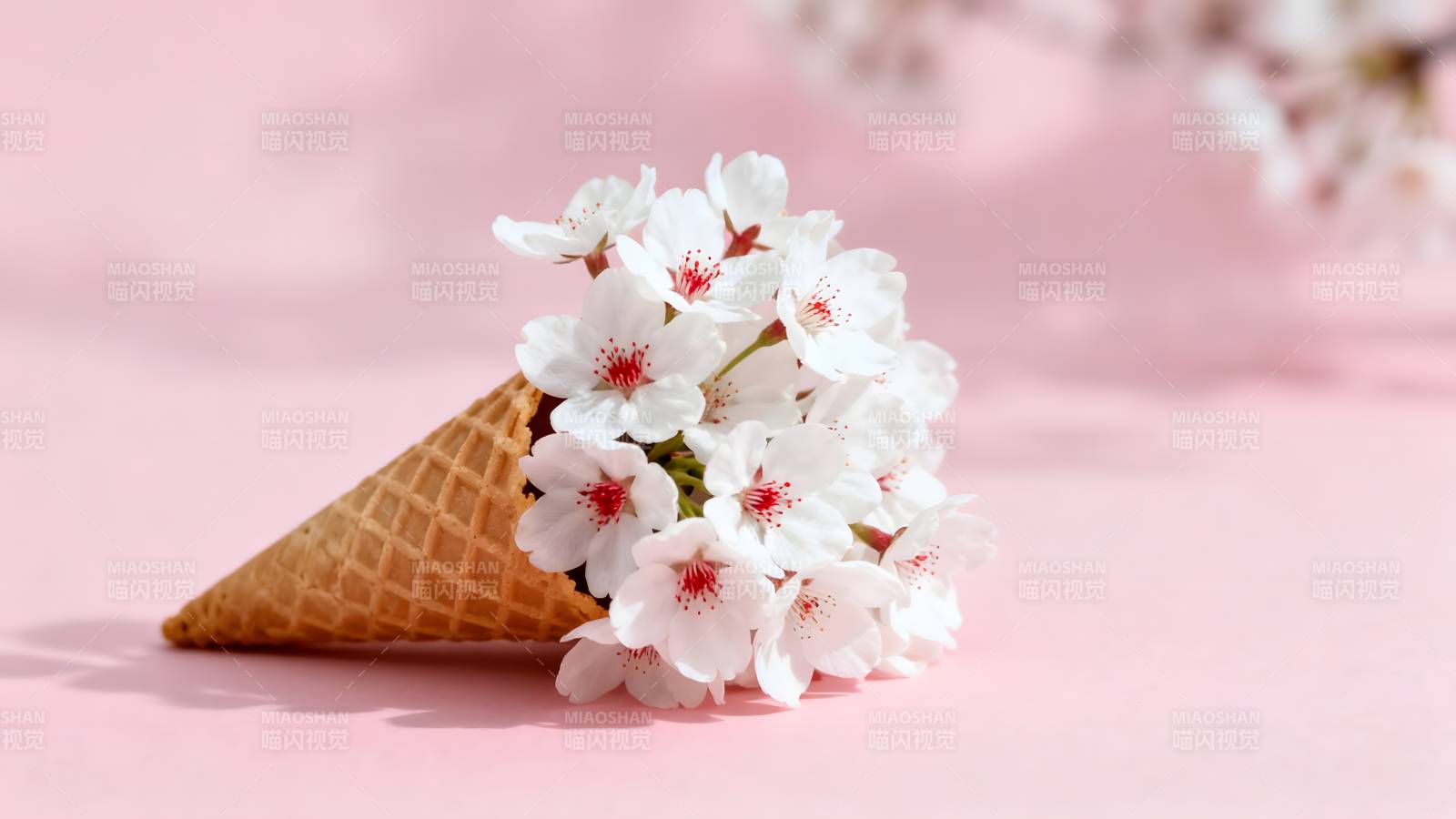樱花与冰淇淋锥图片
