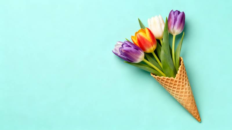 花束冰淇淋锥图片