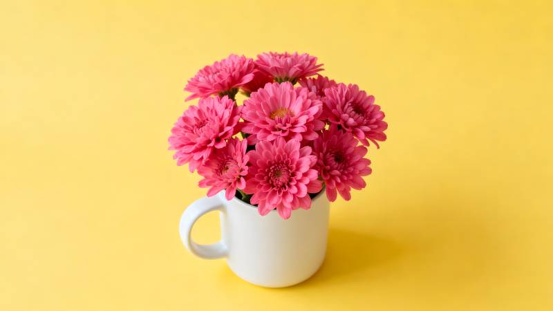 粉花白杯黄底图片