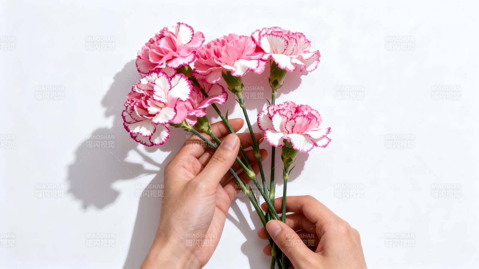 手捧康乃馨花束图片