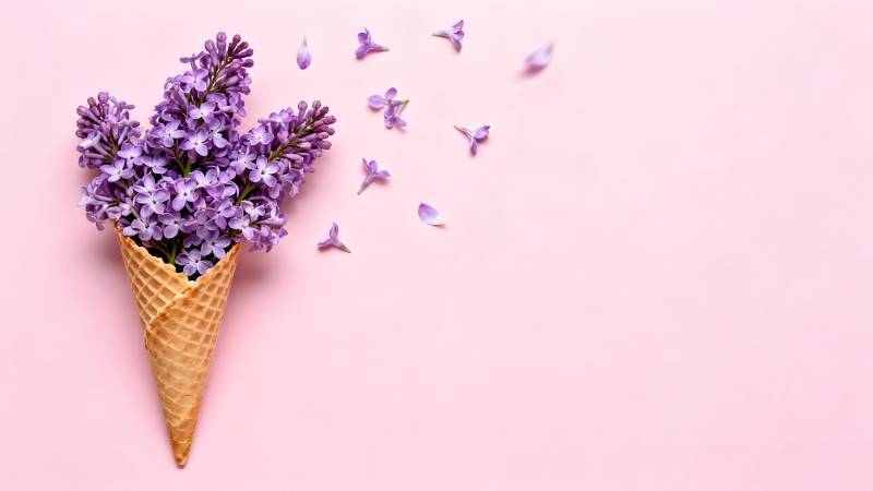 紫花冰激凌锥图片