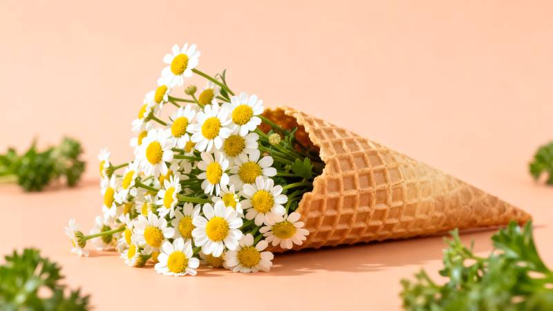 花束冰激凌锥图片