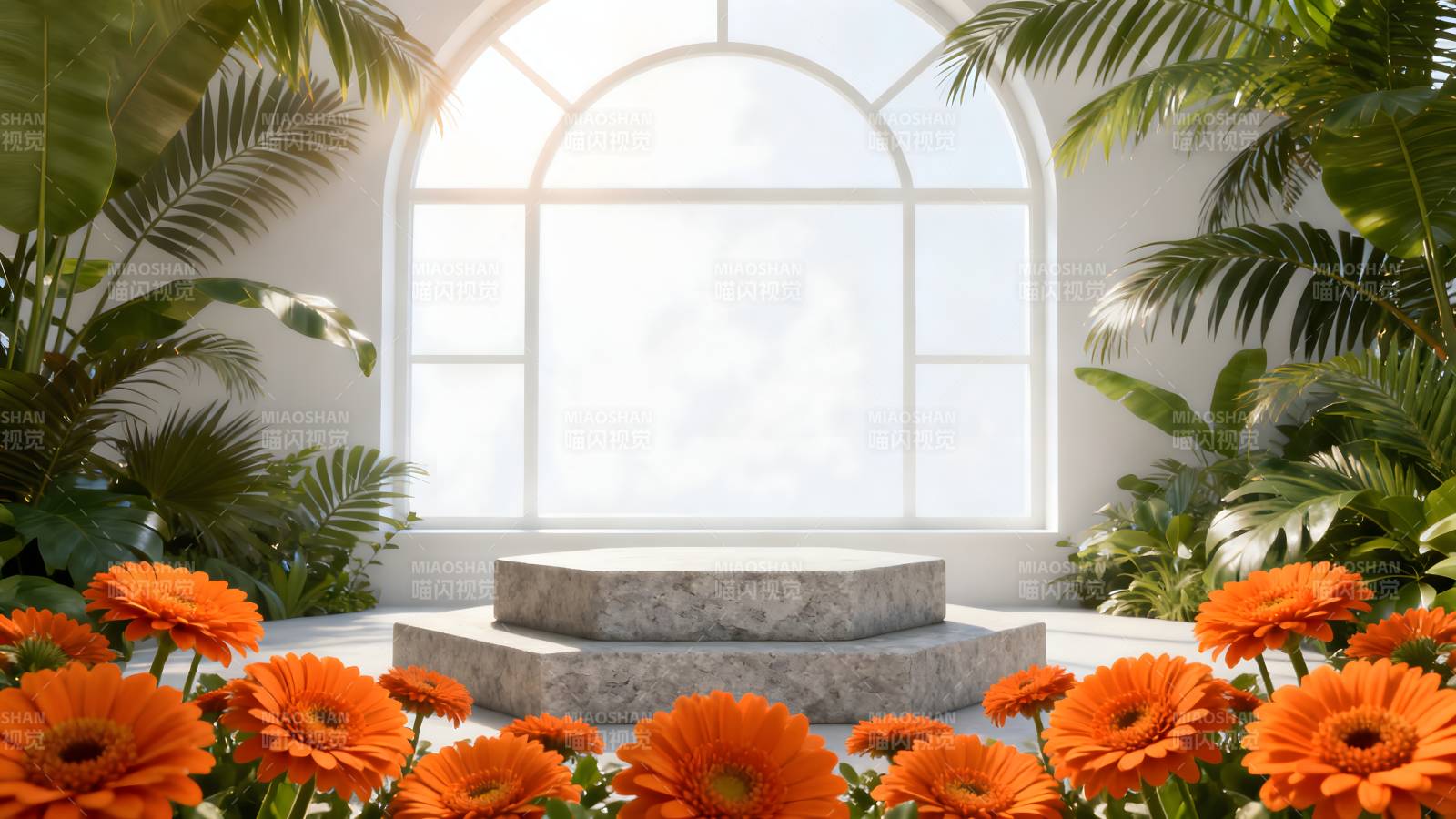 花影映窗台图片