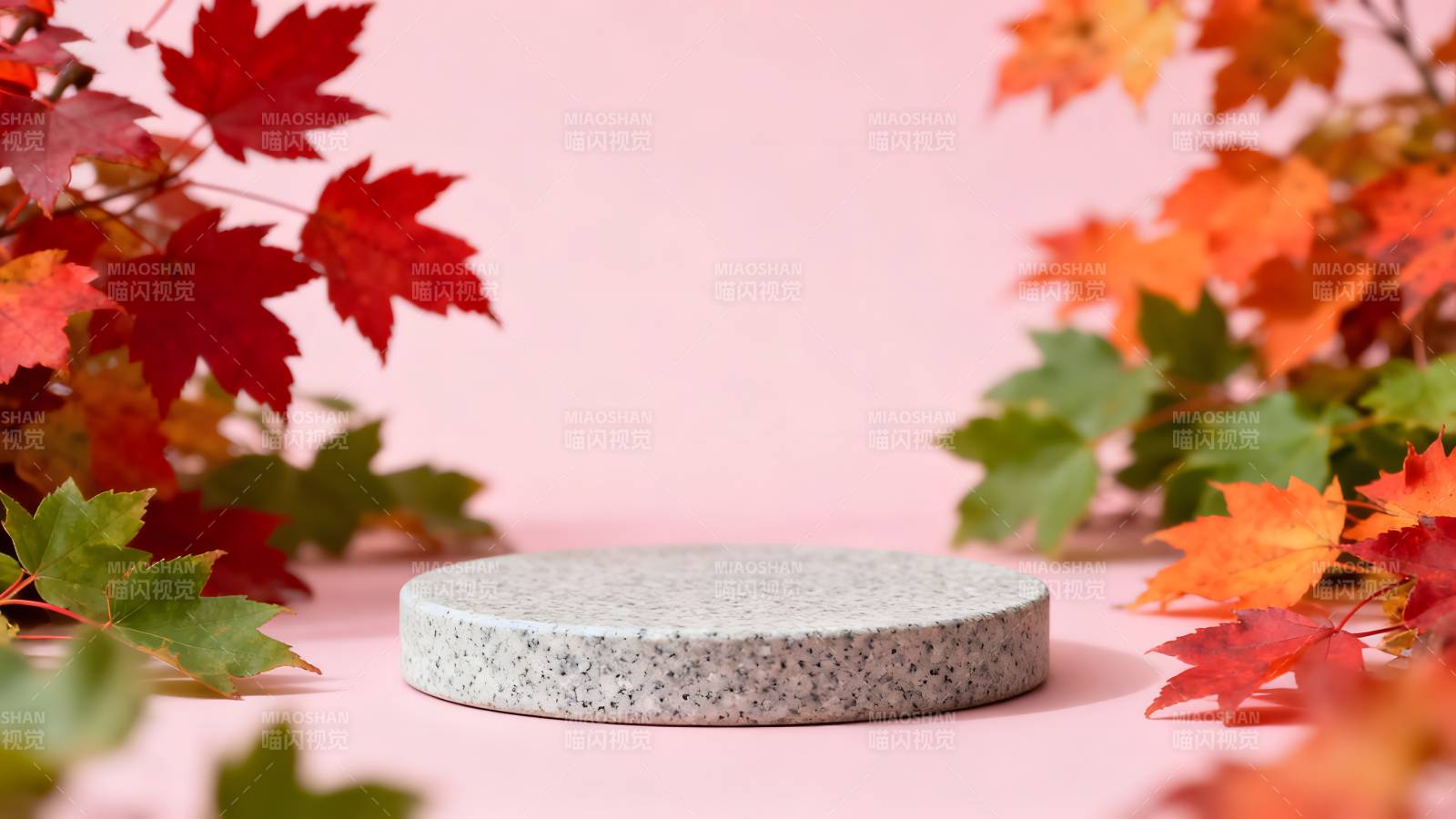 秋叶环绕的石台图片