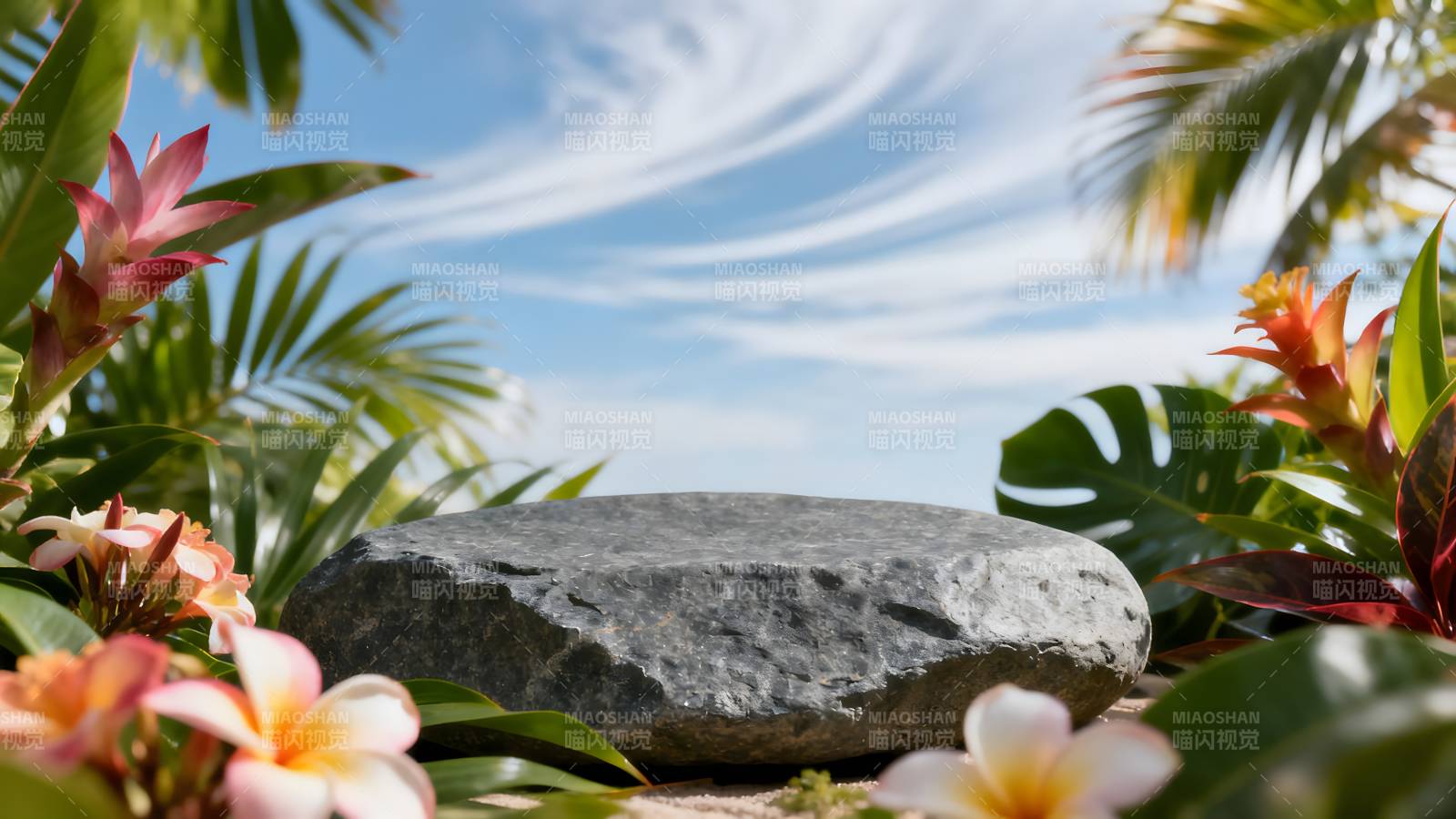 热带花园静谧景图片