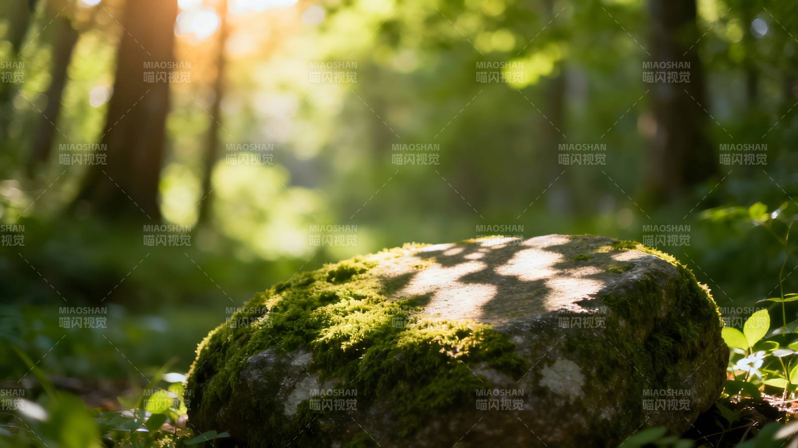 林间青苔石图片