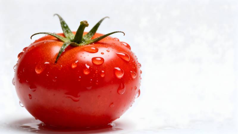 晶莹剔透的红番茄图片