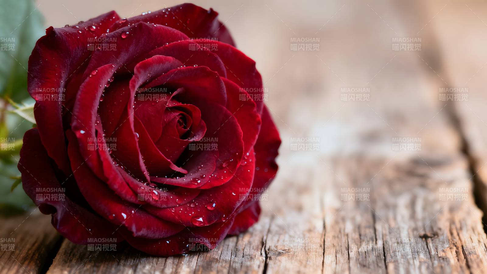 红玫瑰静置木桌图片